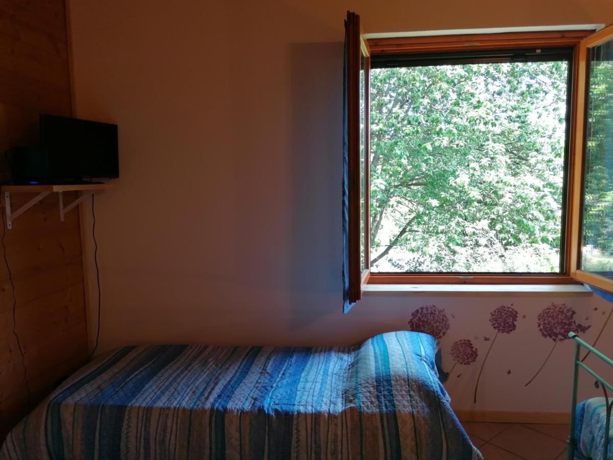 Bio Apipoli *