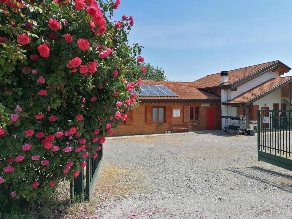 Farm stay Bio Apipoli Montano Lucino